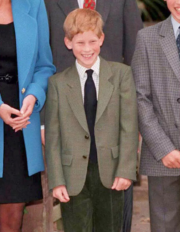 Royal fans are gushing over Prince Harry's resemblance to Prince ...